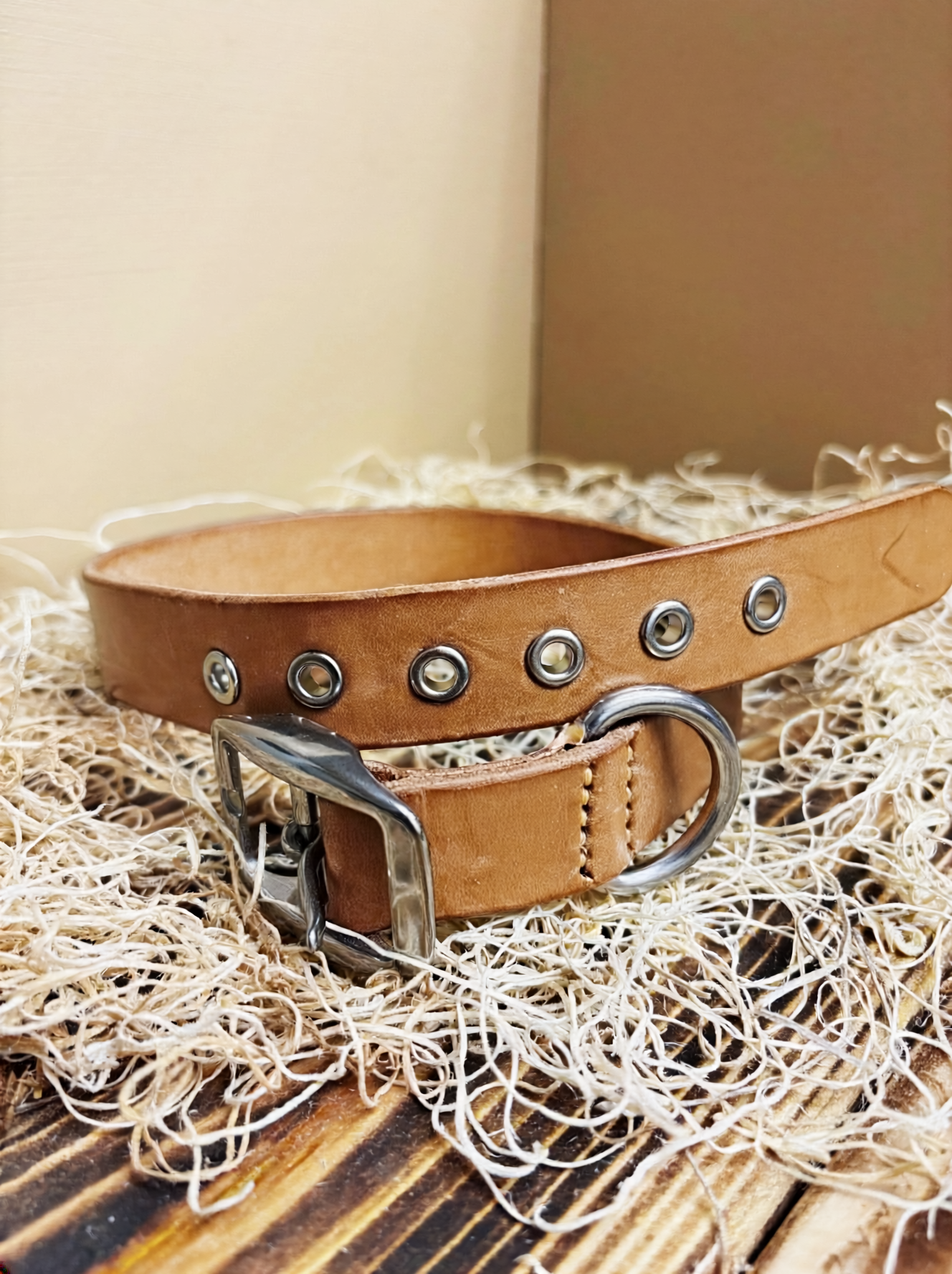 Dog Collars