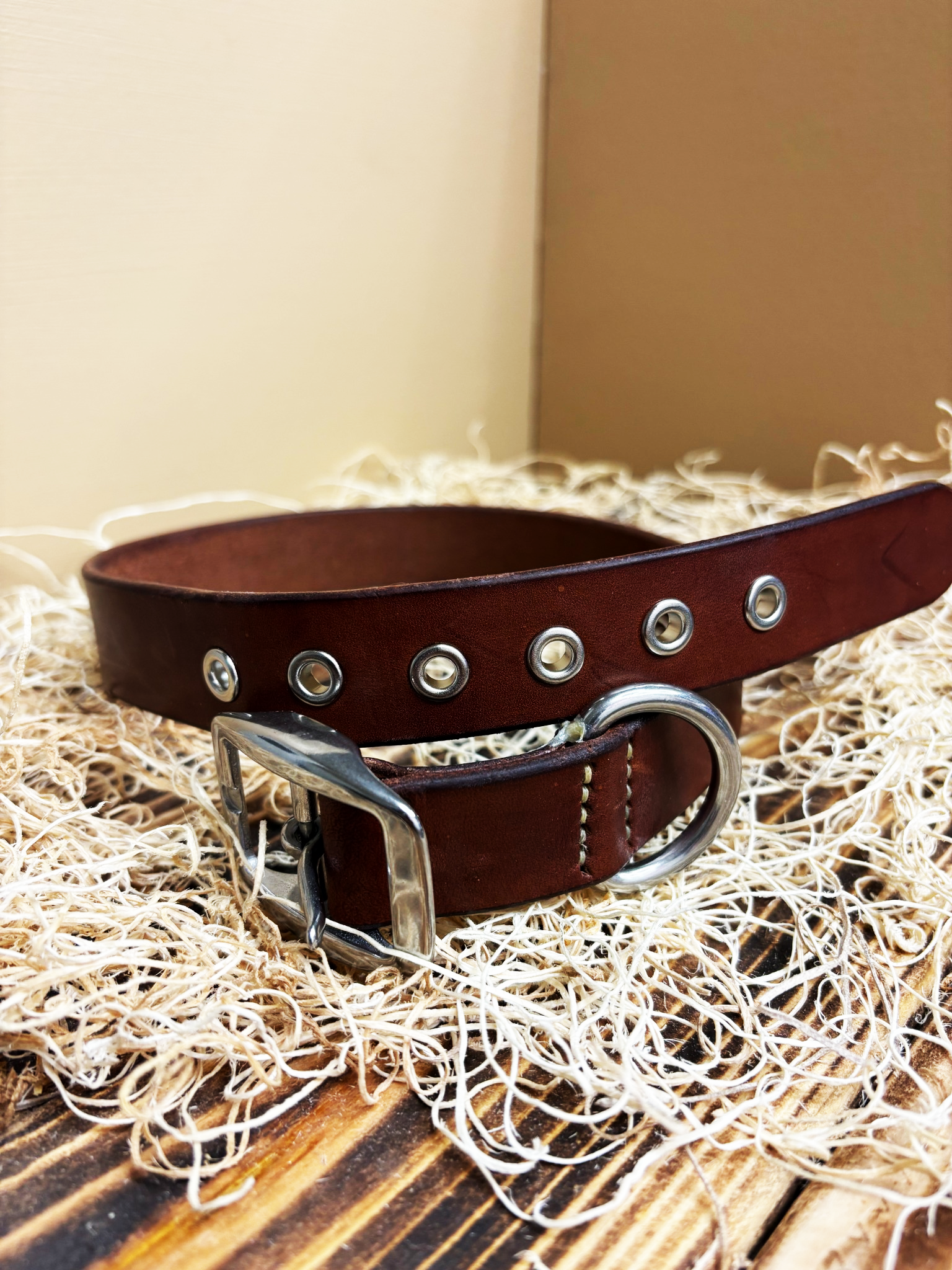 Dog Collars