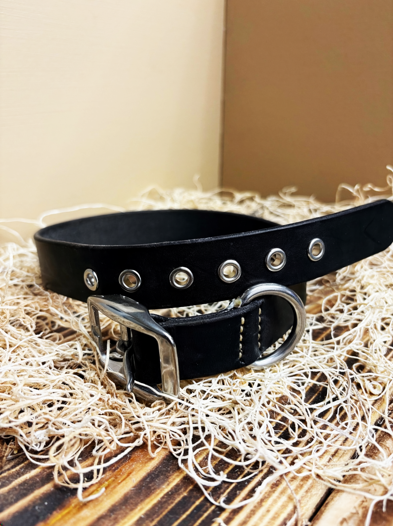Dog Collars